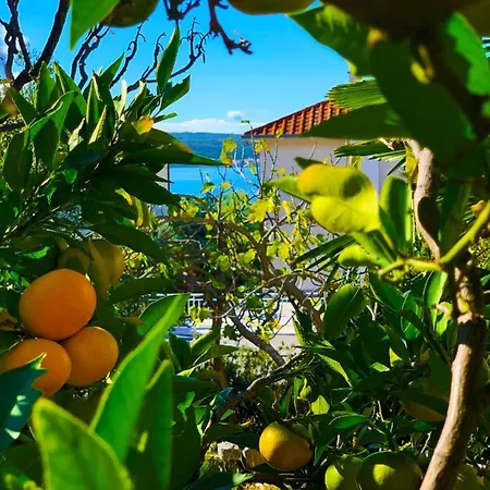 Apartmán Julija Crikvenica